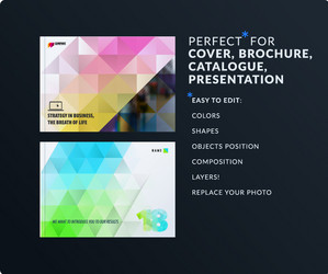 presentation abstract set of modern vector image