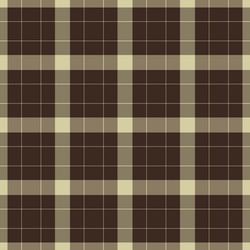 seamless tartan pattern of background texture vector image