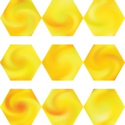 chromatic background in form a shape vector image