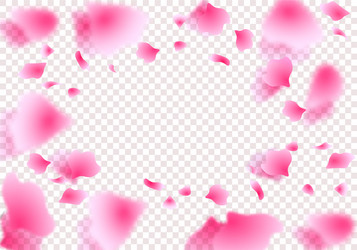 sakura petals roses in a circle Vector Image