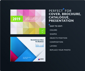 presentation abstract set of modern vector image