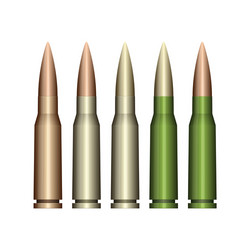 Shotgun caliber ammo realistic metal bullet Vector Image