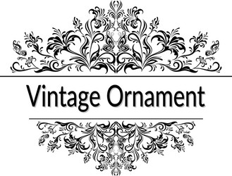 vintage floral calligraphic ornament Vector Image