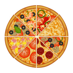 pizza with different ingredients object vector image