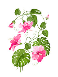Tropical Flower Garland Vector Image