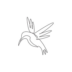 Continuous Line Hummingbird vector image