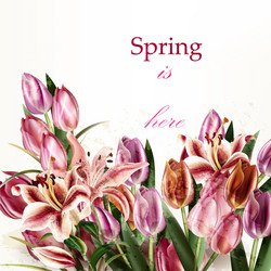 beautiful background with tulip flowers Vector Image