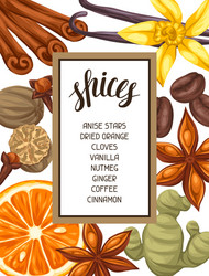 Frame design with various spices Royalty Free Vector Image