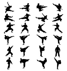 Karate Silhouettes - Martial Arts Vector Image