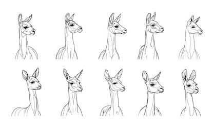 llama ink drawing collection creature Vector Image