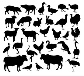 Farm Animal Silhouettes Vector Image