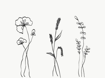 set flower line art abstract modern or minimal vector image