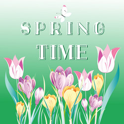 spring background with snowdrops vector