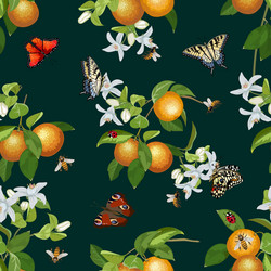 pattern with oranges on a colored background vector image