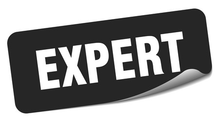 Expert Sticker Label - Blue Royalty Free Vector Image