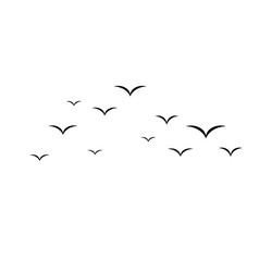 Flying Bird Flock Silhouette Vector Image