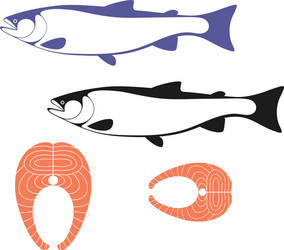 Salmon Graphic Vector Image