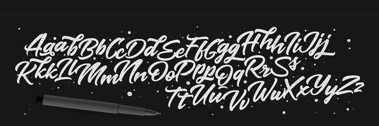 Handwritten script alphabet Royalty Free Vector Image