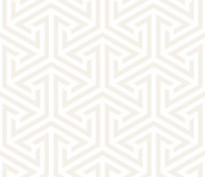 Striped Triangle Pattern vector image