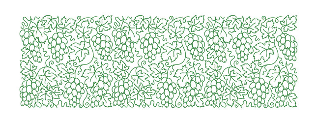 wine grapes pattern grape branches and leaves vector image