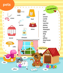 Pet Vocabulary - Kids Learning Vector Image