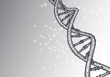 abstract dna molecule in polygonal style black vector image
