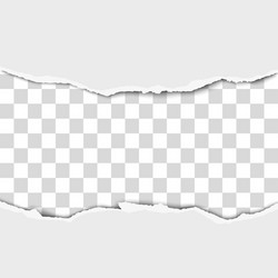 torn middle white paper with background vector image