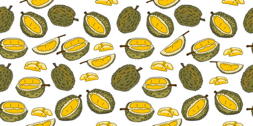 durians seamless pattern background for your vector