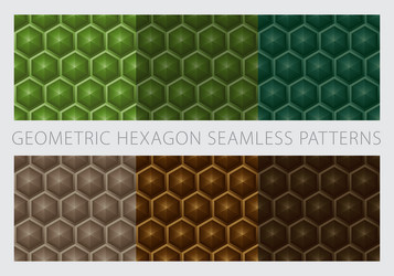 geometric hexagon seamless patterns color earth vector image