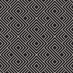 Monochrome Lattice Geometric Pattern vector image