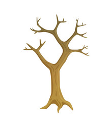 Dry Tree with Empty Branches vector image