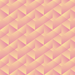 geometric pattern with pink rectangles vector image