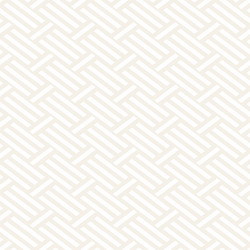 Geometric Stripe Pattern vector image