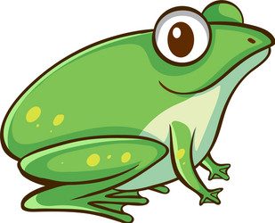 Green frog small amphibian animal side view Vector Image