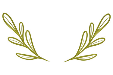 Olive Branch Wreath Vector Image