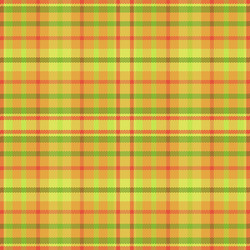 tartan plaid pattern with texture and summer color vector image