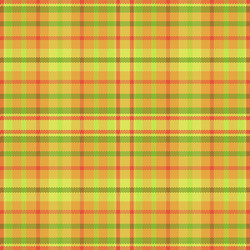 tartan plaid pattern with texture and summer color vector