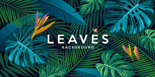 Tropical Leaf & Flower Background Vector Image