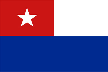 flag rectangular shape vector image
