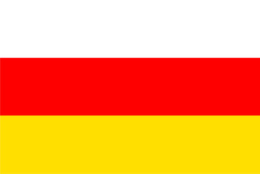 flag rectangular shape vector image