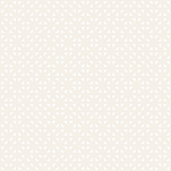 Ethnic Geometric Lattice Pattern vector image