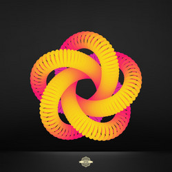 Geometric Swirl Structure vector image