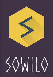 sowilo rune of elder futhark in trend flat style vector image