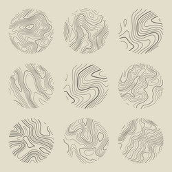 topographic map with contour lines geographic vector image