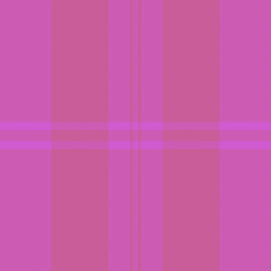 random fabric pattern texture stylish check vector image