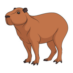 capybara vector sketch 8917850 Vector Art at Vecteezy