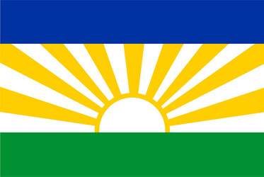 flag rectangular shape vector image