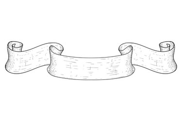 paper scroll hand drawn sketch vector image
