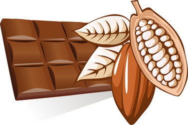Cocoa Bean Chocolate vector image
