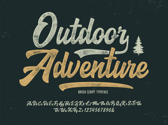 Retro Brush Script Font - Adventure Style vector image